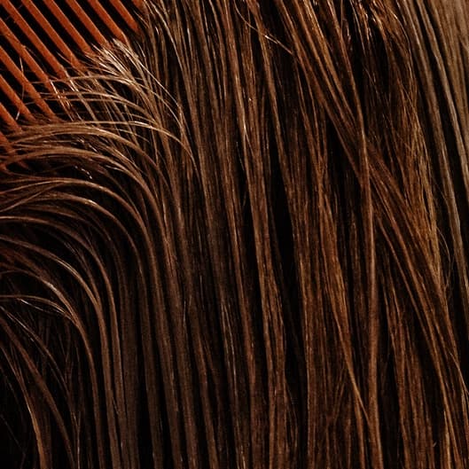Ultra deluxe wash & blow out at Taylee Winders in Plainview, TX